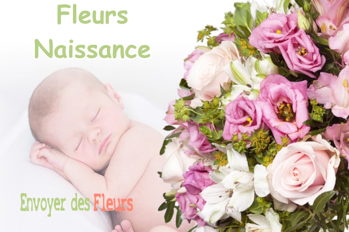 lIVRAISON FLEURS NAISSANCE à PARENTIS-EN-BORN